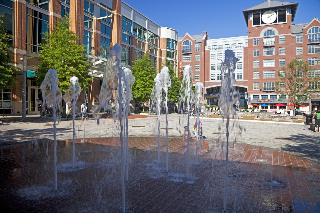 Moving in Rockville, Maryland