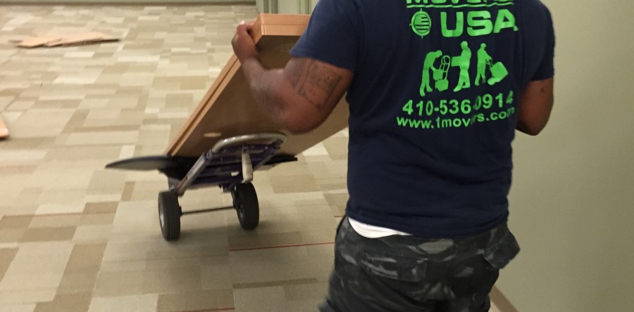Movers in Maryland (MD) Offer Tips to Stay Green