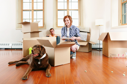 All You Need to Know When You Are Moving with Pets
